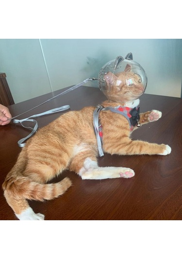 Homyl Namlu Tırnak Kırpma Kısıtlama Açık Görünüm Anti