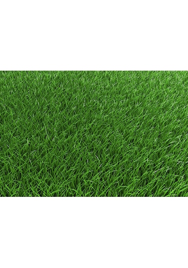 GReenking 6M 6 Lı Karışım Çim Tohumu 250 GR