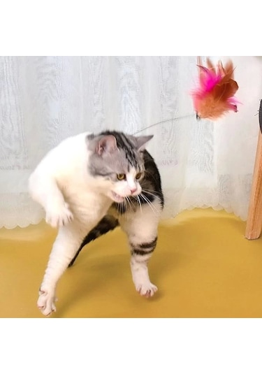 Boyuna Takılan Kedi Oyun Oltası