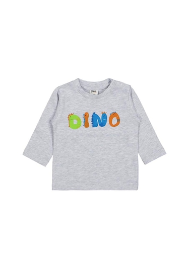 Civil Baby Dıno Baskılı 3'lü Set 6-18 Ay Sweatshirt Çok Renkli
