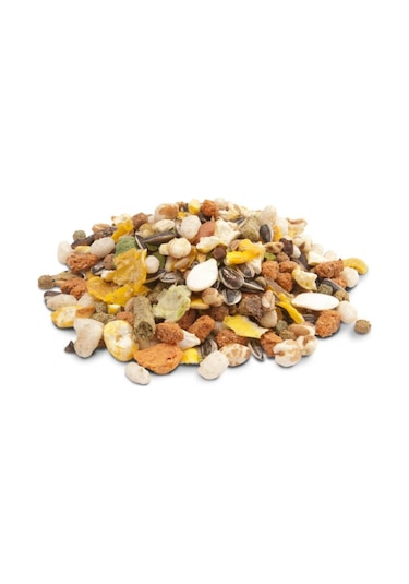 Versele Laga Crispy Muesli Çıtır Müsli Hamster Yemi 400 Gr