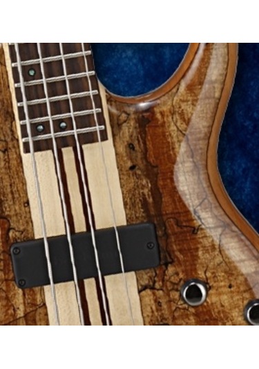 Cort A4 Custom Spnatw Bas Gitar   Natürel Parlak Çantalı Many