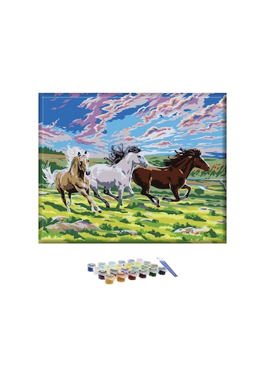 Sayılarla Boyama Seti 40x50 Cm