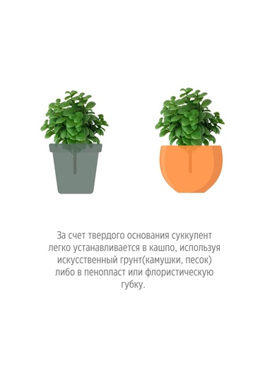 Wisty Dekor İçin 18,5 Cm Yapay Sukulent - Kırkayak Bitki 147202001 Yeşil