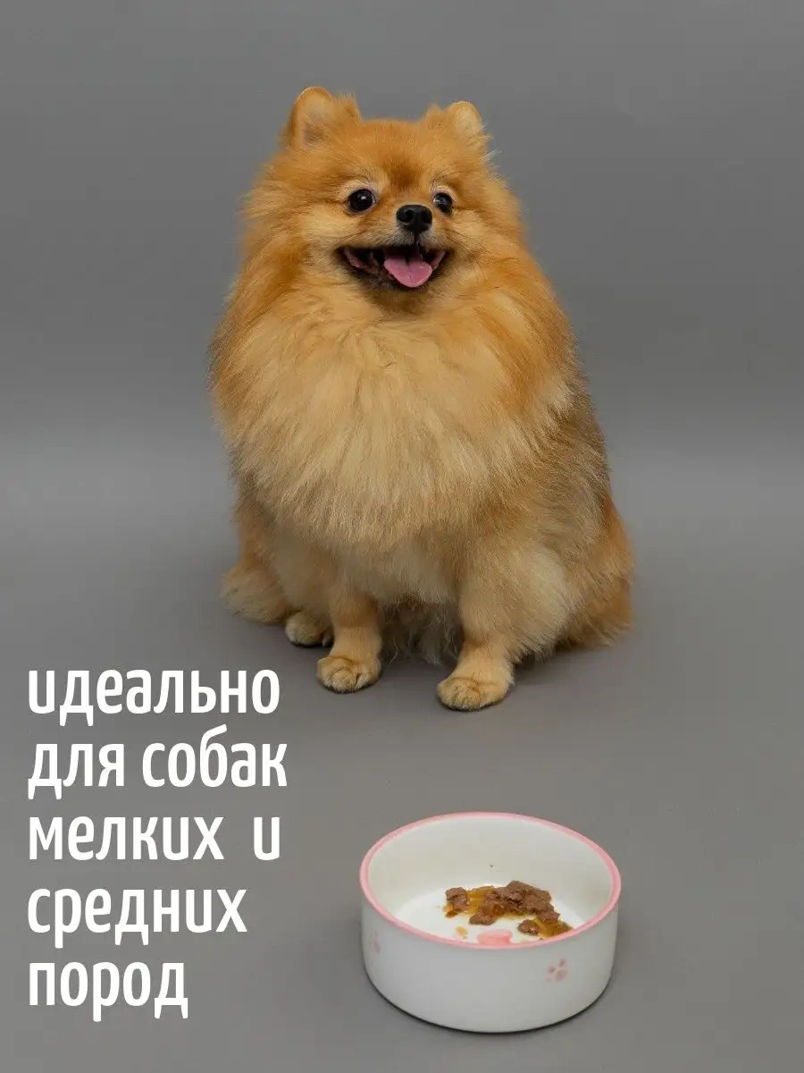 Tcallini Pets Kedi Ve Köpekler İçin Seramik Mama Kapları 400 Ml 162910591