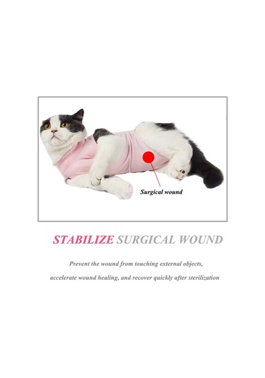 Hombey Kedi Ameliyat Sonrası Kıyafeti, Yara Koruması, Tükürmeyi Engeller, Esnek Mesh Kumaş, Pembe S Beden