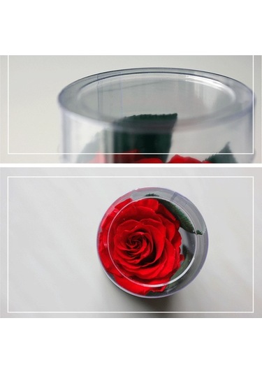 Trendooze Yıl Sonsuz Sonsuz Sevgililer Romantik Pembe Partisi Parfümlü Noel Korunmuş Kadınlar İçin Hediye Günü Günü Gül Gül Gül Gerçek Festivalleri Ev Düğün Dönümü Çiçeği Çiçeği Arifesi Anneler Pe Pembe