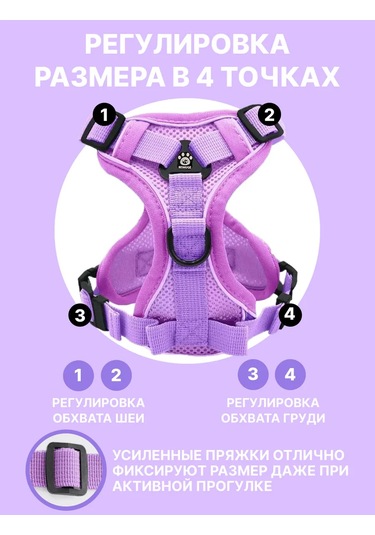 Tori Küçük Ve Orta Irklar İçin Tasmalı Köpek Kayışı Ve Kedi Şeridi 481276812