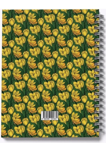 My Mia Art Magnolia-big 17x24 Çizgili Defter Çok Renkli