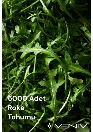5000 Adet Roka Tohumu 2 Paket