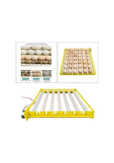 Suntek Yumurta Kuluçka Makinesi Tepsisi Otomatik Yumurta