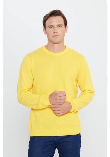 AC&Co / Altınyıldız Classics Erkek Sarı Standart Fit Normal Kesim Bisiklet Yaka Triko Sarı