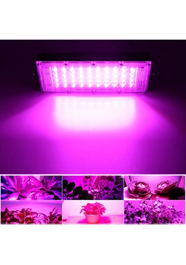 Reedark Bitki Büyütme Lambası - Tam Spektrum Led Işık İç Mekan Sera Ve Hidroponik Yetiştiricilik İçin Diğer