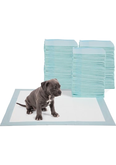 Köpek Tuvalet Çiş Pedi 100'lü 33 x 45 CM