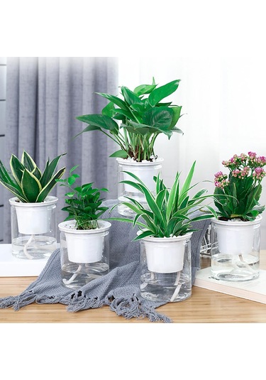 Lebihmurah 2099 Helloworld Saksı Vazo Dekoratif Görünür Su Seviyesi Bitki Tutucu