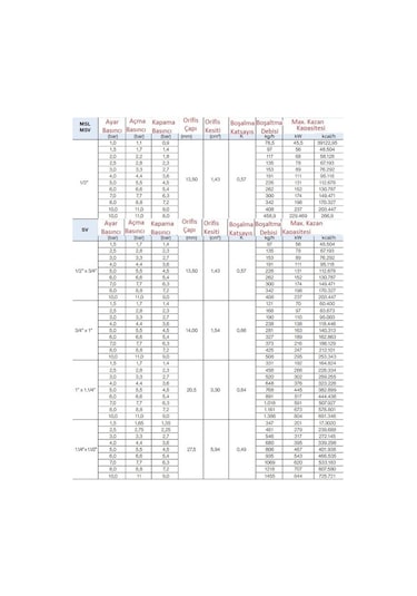 Watts Emn. Ventili 1''-5 Bar - Svw-218305