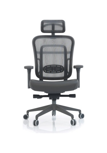 Passion Çalışma Oyuncu Ofis Yönetici Makam Koltuğu