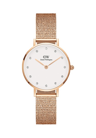Daniel Wellington Dw00600529 Kadın Kol Saati Diğer