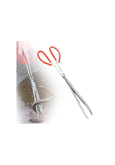 Dolıty Deniz Ürünleri Klipsi Ev Tipi Taşınabilir Çok 45cm