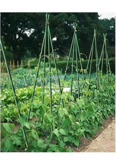 Botanika 53713 Bitki Destek Çubuğu 120 Cm 10 Adet