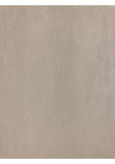 Duvar Kağıdı 1,06x15,5 Cm 16,5m2 Silinebilir Özellikli Duvar Kağıdı Next 3605-5