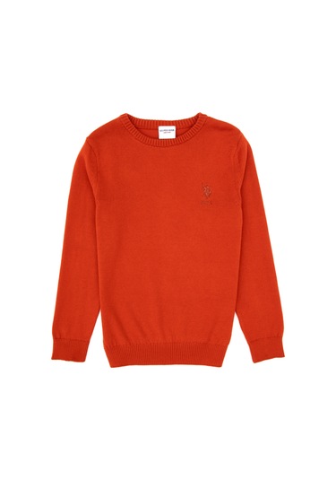 U.s. Polo Assn. Erkek Çocuk Kiremit Kazak /triko 50307845-vr031 Kiremit