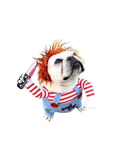 Küçük Köpekler İçin Cadılar Bayramı Kostümü - Özel Günler İçin Şe