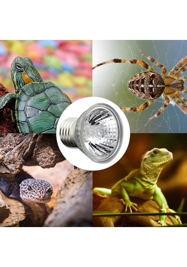 Uva+uvb Tam Spektrumlu Güneş Sürüngen Lambası 75 W