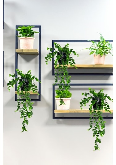 Yapay Çiçek Saksıda Sarkan Şimşir Okaliptus Yapay Sarmaşık 56cm Siyah Saksıda