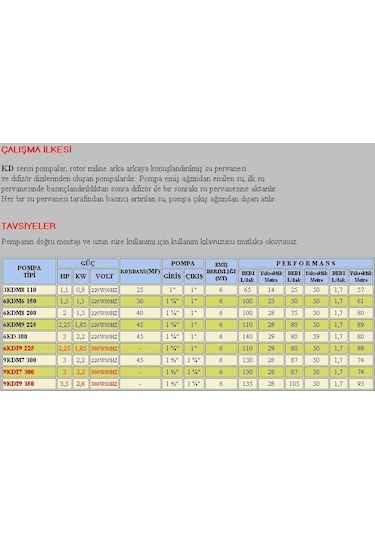 Bestpump 3.5 Hp-380v-9 Kademeli Dikey Milli Santrifüj Su Pompa