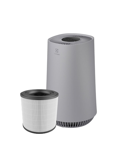 Electrolux EPO50351SW - FA31-201GY Hava Temizleme Filtresi - EFFBRZ2