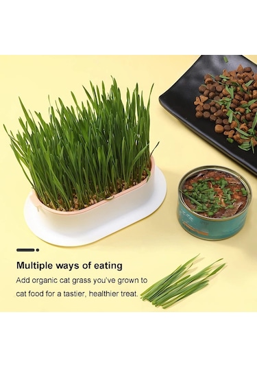 Mufunye Kedi Çimi Ekici Hidroponik Yetiştirme Kiti İç Mekan İçin Topraksız Kedi Nanesi Buğday Çimi B