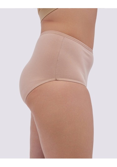 Alya Underwear Kadın Büyük Beden Külot Battal Full Brief, Yüksek Bel 5xl, 6xl, 7xl 5 Farklı Renk 1 Pakette Multicolor-p20