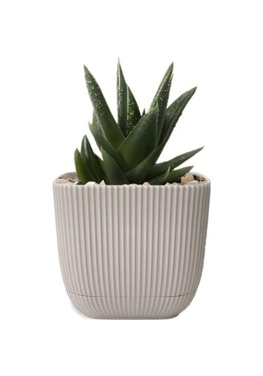 Omnipazar Krs-384 Dekoratif Plastik Mercan Kare Saksı 4 Litre No 4 Bej