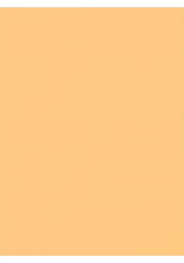 Wagner Boya Wabıesılan Silikonlu Dış Cephe Boya 2,5 Lt