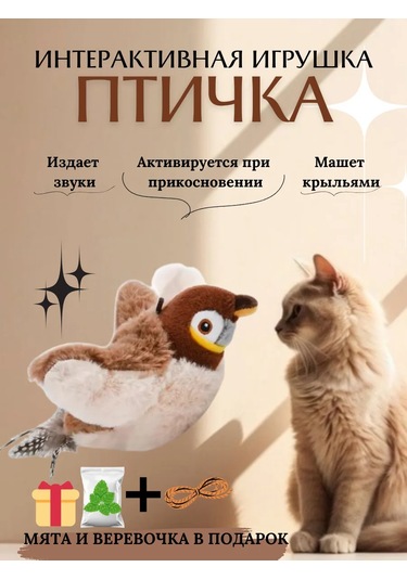 Kediler İçin Etkileşimli Oyuncak 'kuş' 321860329