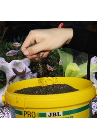 Jbl Pro Novo Malawı Grano M 100gr. Açık
