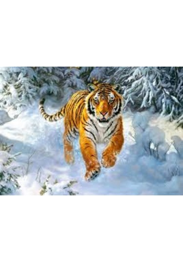 Castorland 500 Parça Sibirya İmparatoru Puzzle