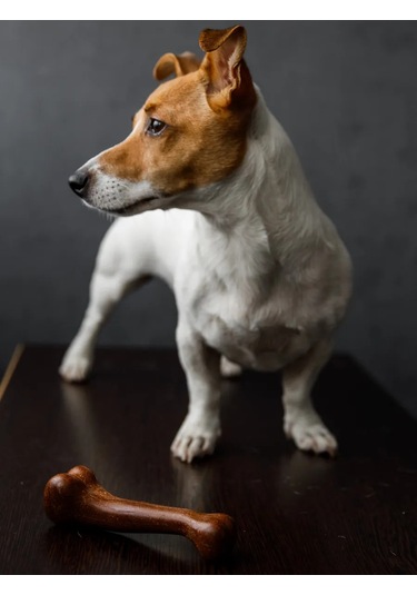 S.dream Köpekler İçin Dayanıklı Kemik Oyuncak 177312362