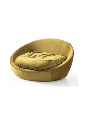 Miss Worble Fotelja Berjer Tekli Döner Koltuk Sarı