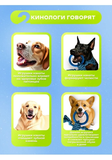 Murrkovka Köpekler İçin İpli Çekme Oyuncağı Ve Çekiş Oyuncağı 449102796