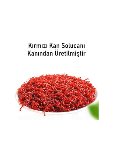 Valkyrie Balık Çekici Aroma 60 Ml Sıvı Attractor Güçlü Yem Katkısı Yem Güçlendirici