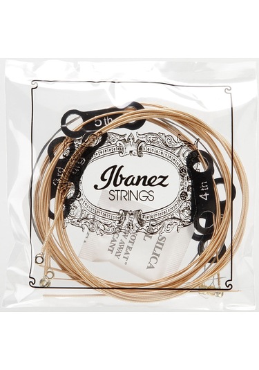 Ibanez IACSP62C Phosphor Bronze Custom Light Takım Tel Akustik Gi