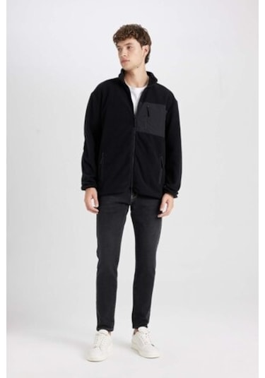 DeFacto Regular Fit Dik Yaka Fermuarlı Cepli Polar Hırka A6892AX24WNBK81 Siyah