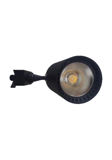 30 Watt Led Ray Spot N11.219