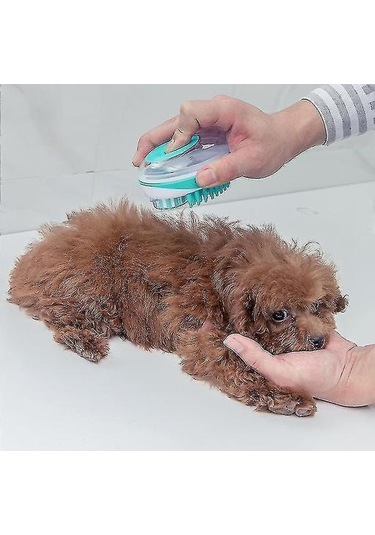 Pet Tarak Fırçalar Pet Banyo Fırça Köpek Masaj Fırçası Evrensel Banyo Fırçası Temizlik Malzemeleri Güzellik Yeşil