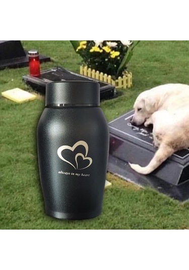 Homyl Pet Urns Paslanmaz Çelik Hatıra Urn Su Geçirmez Siyah Altın