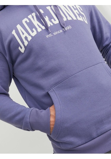 Jack & Jones Jjejosh Erkek Sweatshirt 12236513 Mor