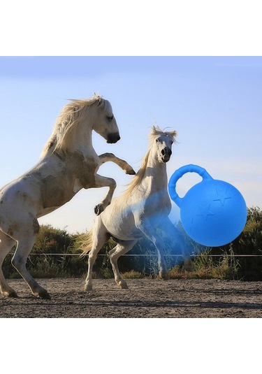 Homyl At Oyuncak Oyun Topu Meyve Kokulu Pet Joy Rastgele-renk Rastgele Renk