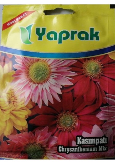 Çiçek Tohumu Kasımpatı 80 Ad